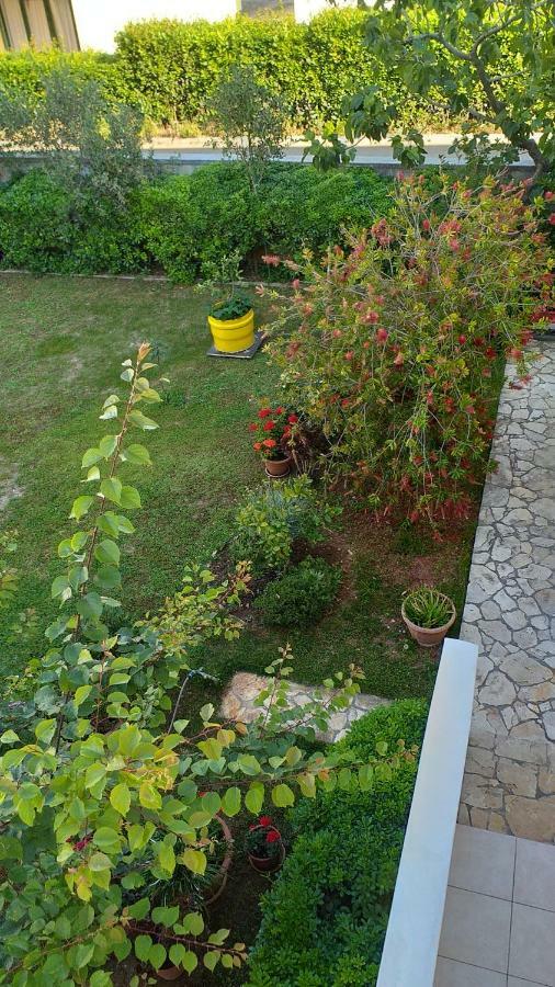 Apartment Manda Zadar Ngoại thất bức ảnh